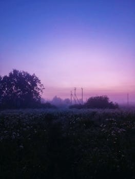 Peaceful dawn breaking over misty meadows with trees and a pastel sky.