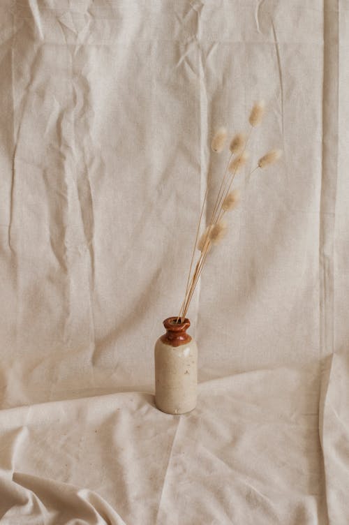 米色亚麻背景复古花瓶中的干花