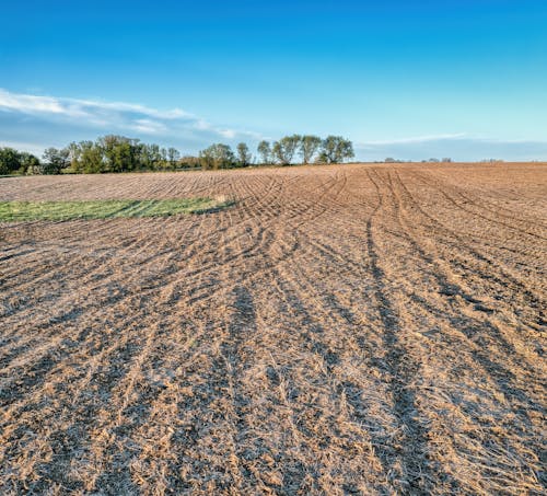 Dried Grass on Agricultural Land