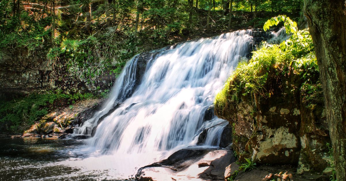 A serene waterfall cascades through a verdant forest in Middletown, Connecticut.