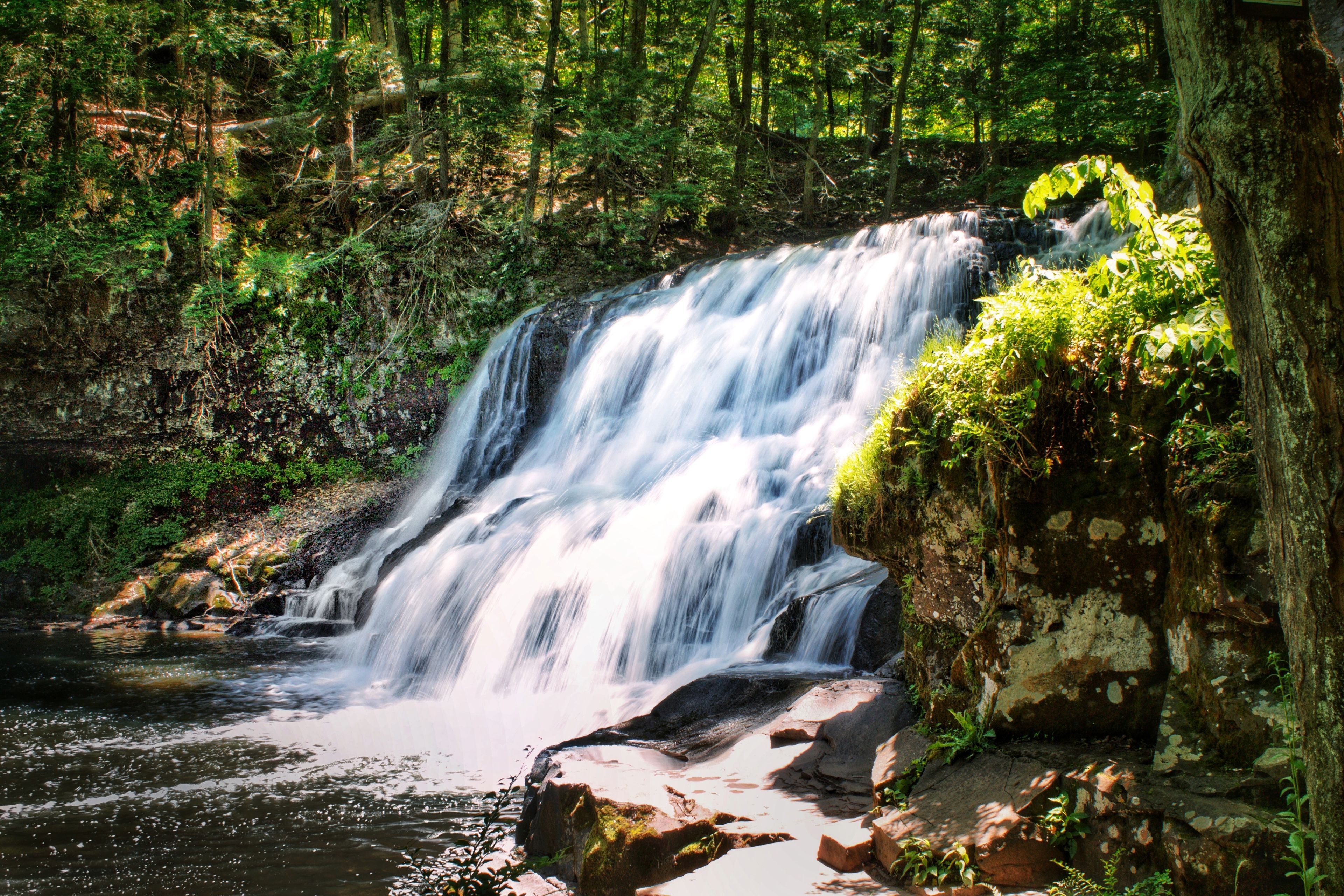 Middletown: Waterfall surrounded by green woodland in Middletown