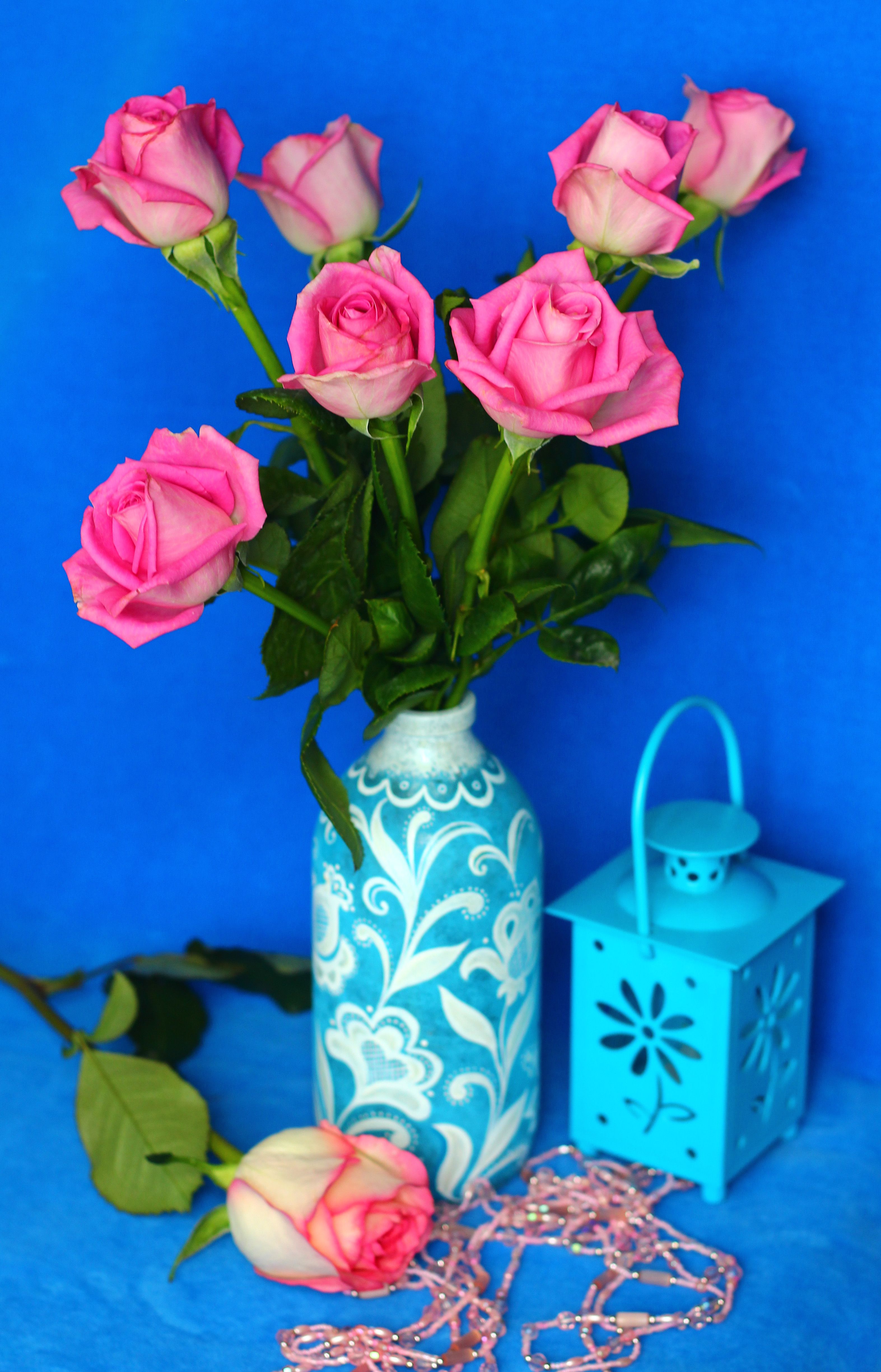 A Vase with Pink Roses on a Blue Background · Free Stock Photo