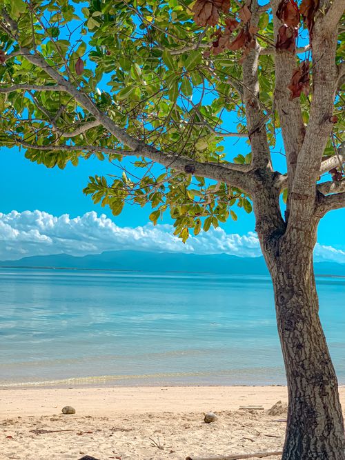 Free Peaceful beach scene with tree, clear water, blue sky, and fluffy clouds. Stock Photo