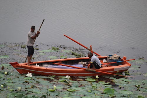 Δωρεάν στοκ φωτογραφιών με αλιείς, άνδρες, βάρκα