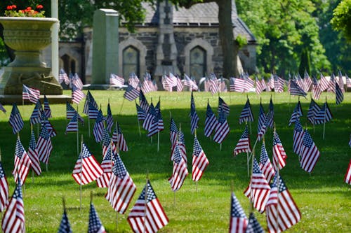 American Flags on Lawn