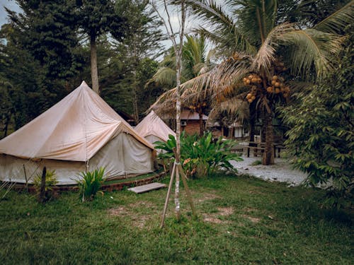 Darmowe zdjęcie z galerii z kemping, na dworze, namiot