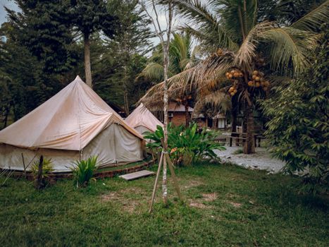 Serene campsite with tents surrounded by lush tropical trees and greenery, perfect for nature lovers.