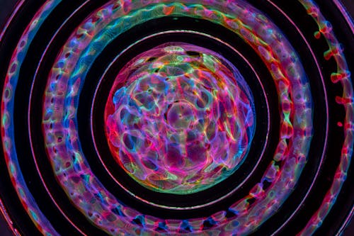 Blurred Colorful Lights in a Circle