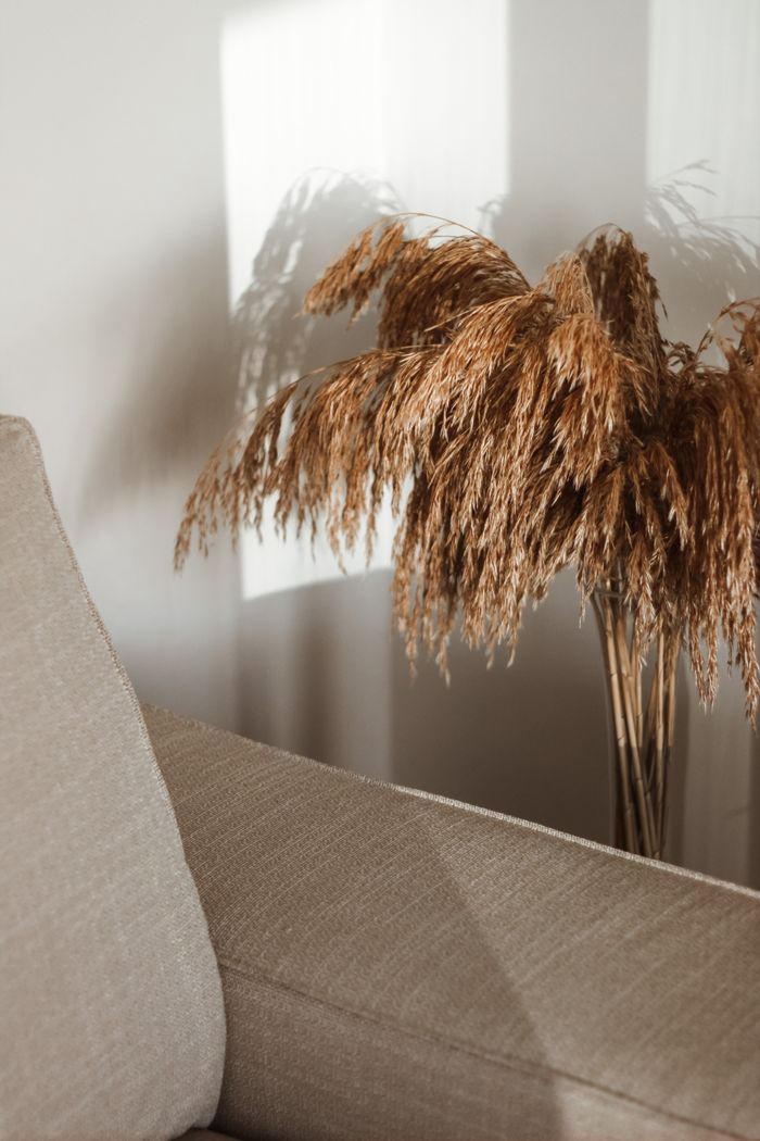Linen sofa and dried pampas grass in afternoon light, by Sena Aykut on Pexels