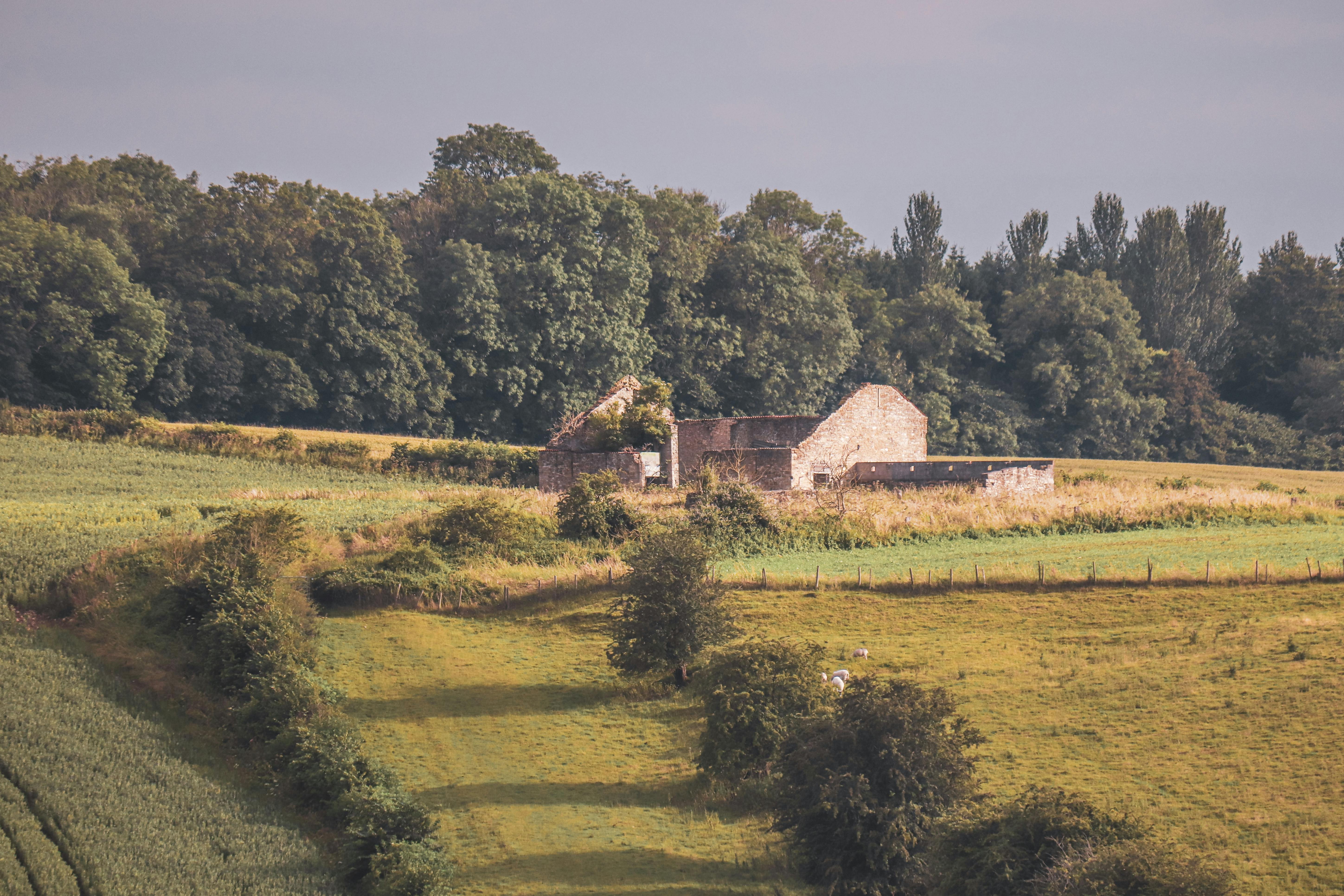 Photo of a Landscape with Destroyed Building · Free Stock Photo