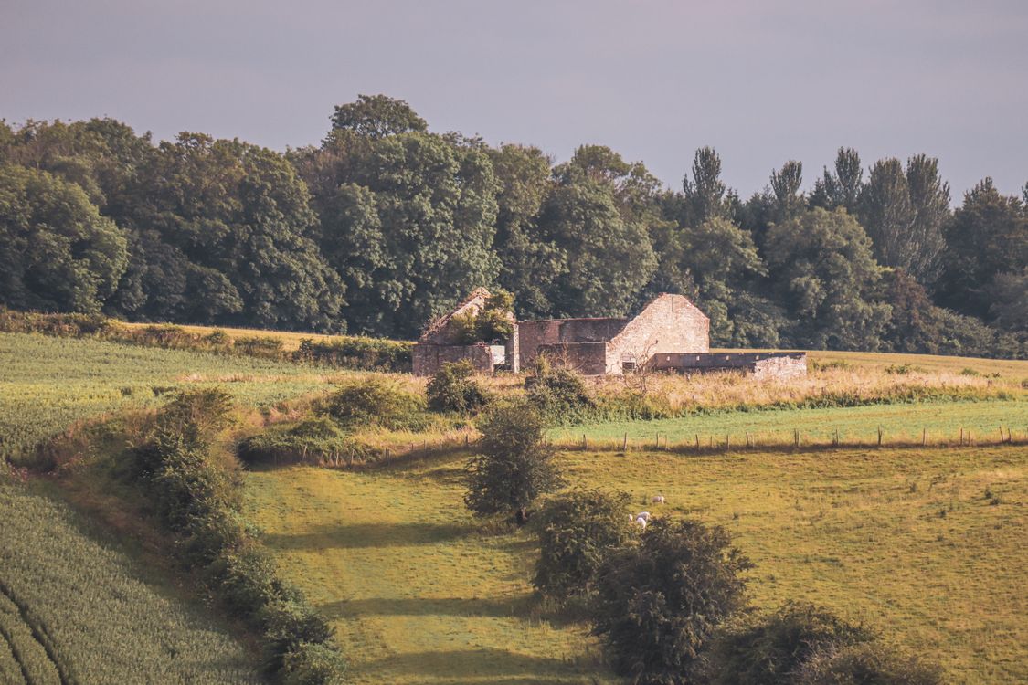 Photo of a Landscape with Destroyed Building · Free Stock Photo