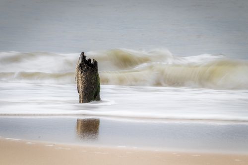 Free Long exposure of ocean waves gently flowing around a weathered tree trunk on a sandy beach in Brazil, creating a calming scene. Stock Photo
