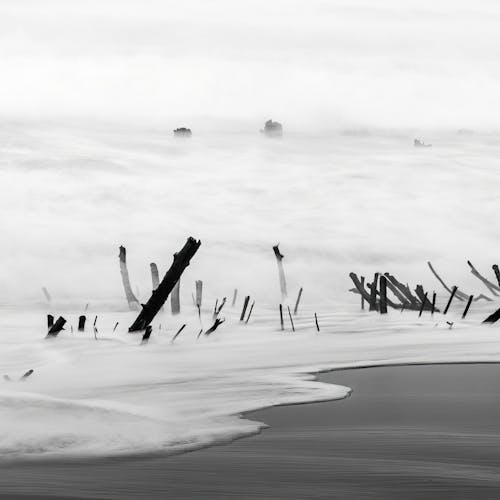 Foto profissional grátis de água, areia, cenário