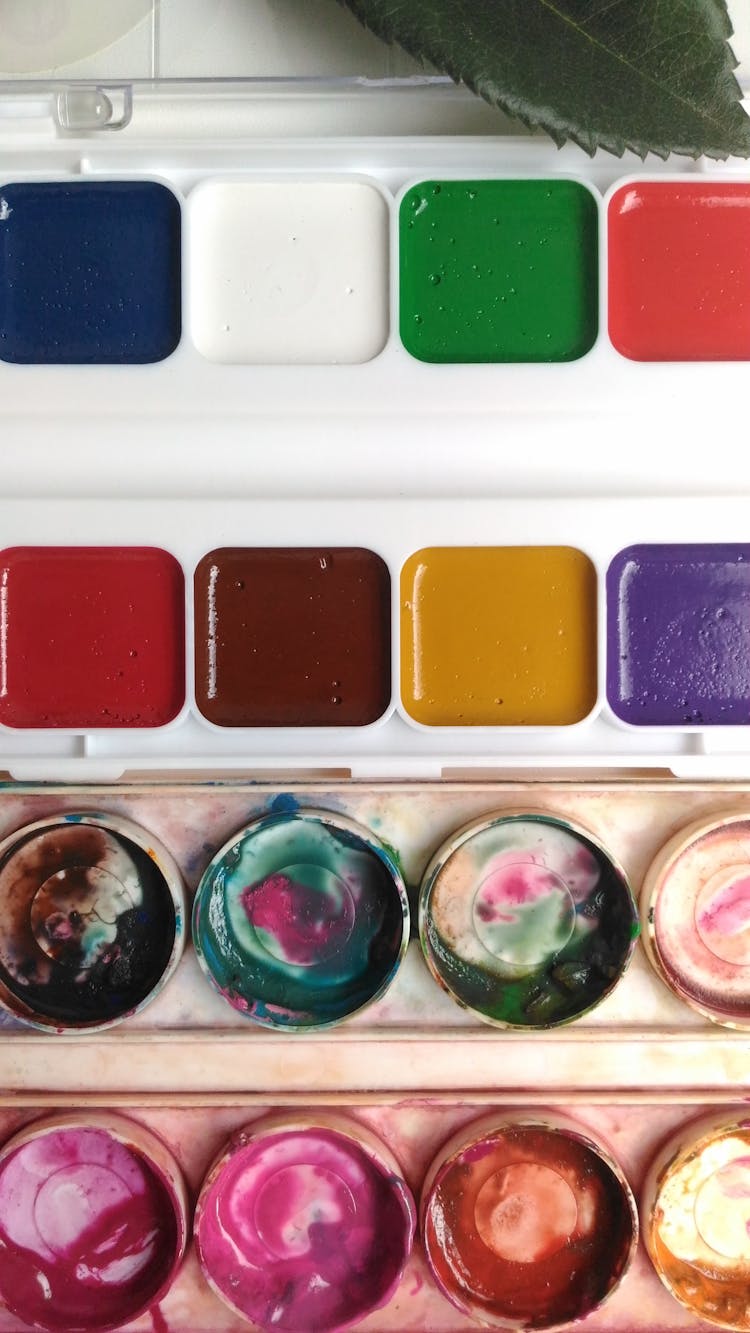 Watercolor Palette On Round And Square Containers