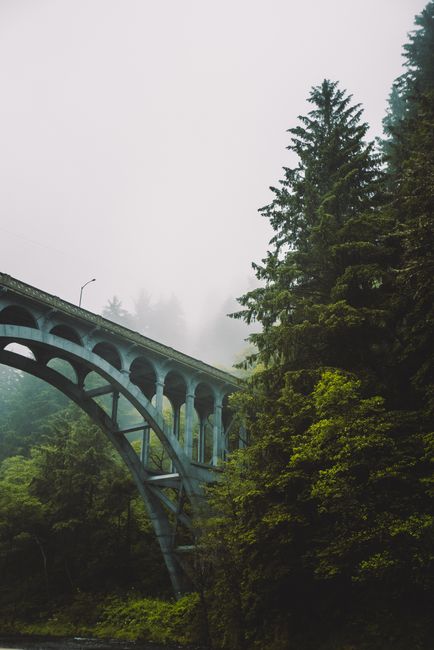 A scenic view of a bridge amidst foggy evergreen trees in Oregon's lush landscape.