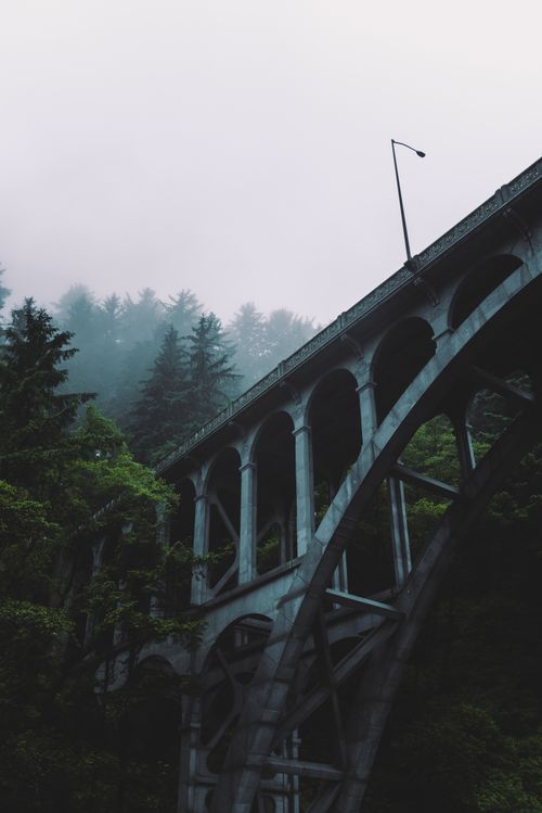 Free An atmospheric view of a fog-covered bridge in a lush Oregon forest, capturing the mysterious ambiance. Stock Photo