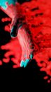 Free stock photo of 3d, abstract, art