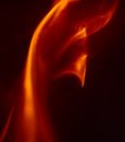 Free stock photo of abstract, angel, blood