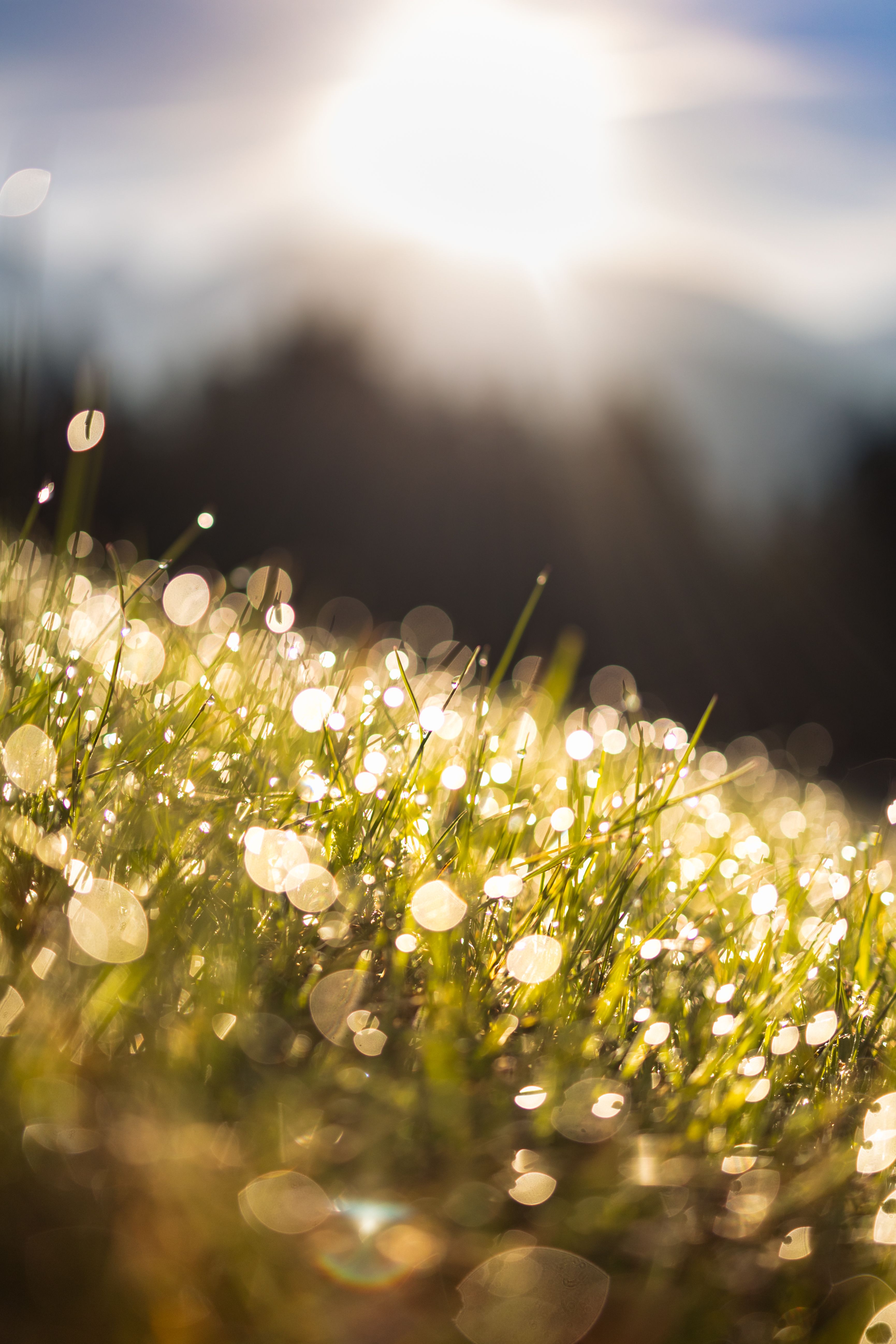 Morning Effects Photos, Download The BEST Free Morning Effects Stock ...