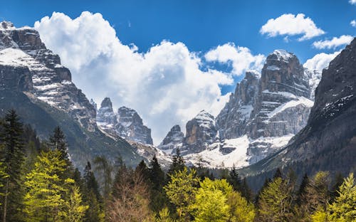 Green Trees Near Mountain Under Blue Sky and White Clouds