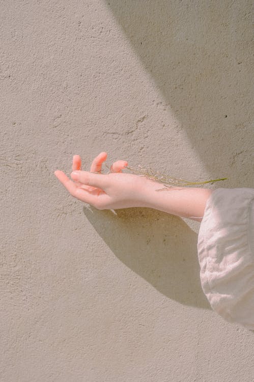 Free Left Human Hand With Green Leaf Branch Stock Photo