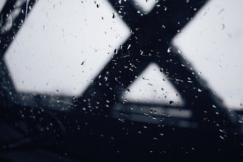Základová fotografie zdarma na téma dešťové kapky, kapičky, mokrý