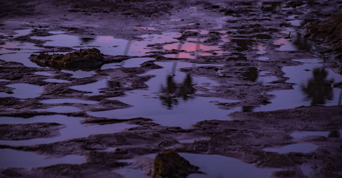 A Close-Up Shot of Puddles on an Unpaved Road · Free Stock Photo