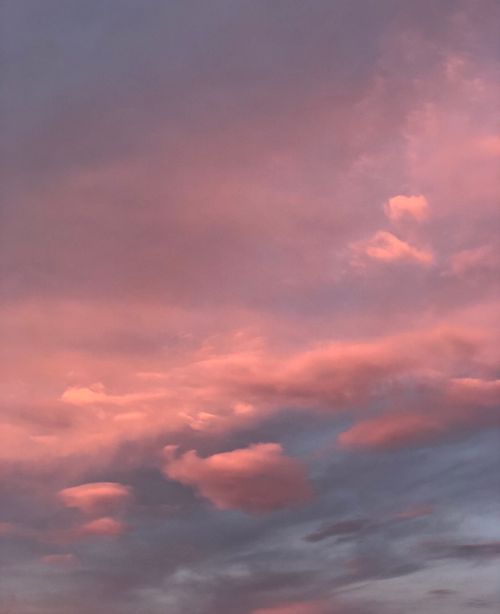 Free A beautiful capture of fluffy pink clouds against a calm twilight sky, serene and ethereal. Stock Photo