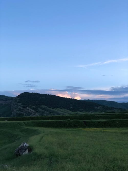 Foto profissional grátis de campina, cenário, céu limpo