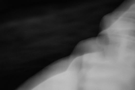 Intriguing black and white abstract with motion blur, conveying a sense of mystery and fluidity.