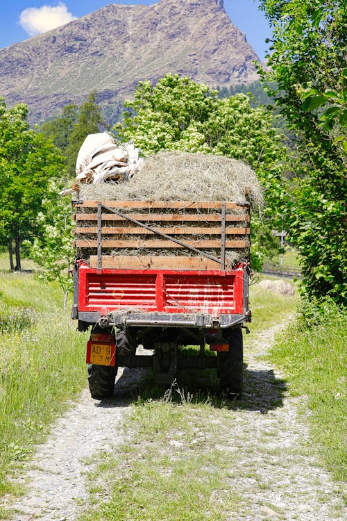 Immagine gratuita di automotive, camioncino, campagna