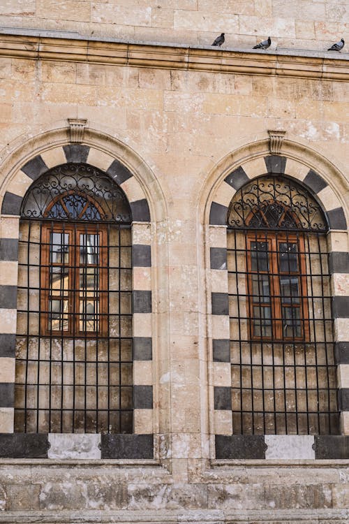 Gratis stockfoto met bogen, buitenkant van het gebouw, detailopname