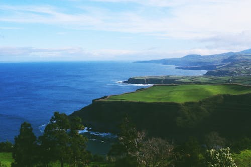 Ücretsiz Deniz Kıyısı Yakınındaki Yeşil Alanın Havadan Fotoğrafı Stok Fotoğraflar