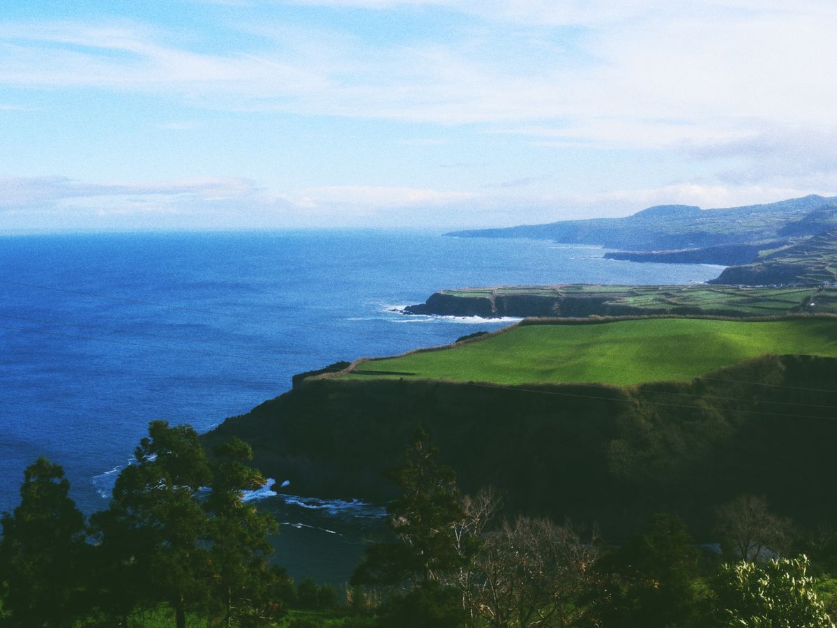 7 Day Ashtanga & Yoga Therapy Retreat in Madeira, Portugal 3