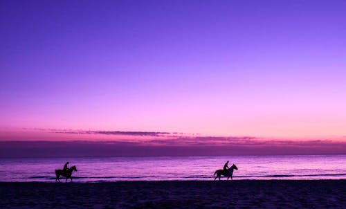 Silhouette of People Riding Horses