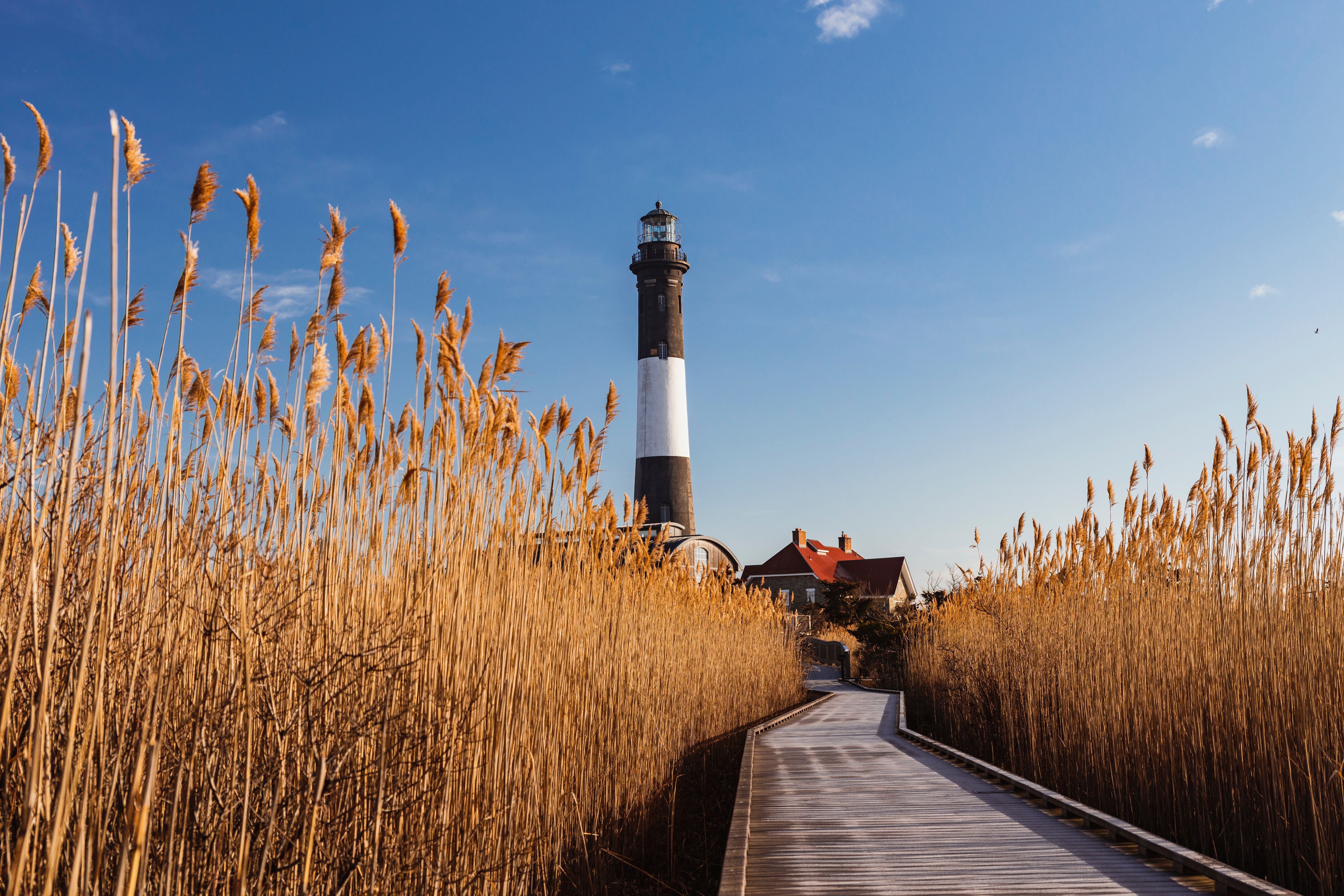 Fire Island