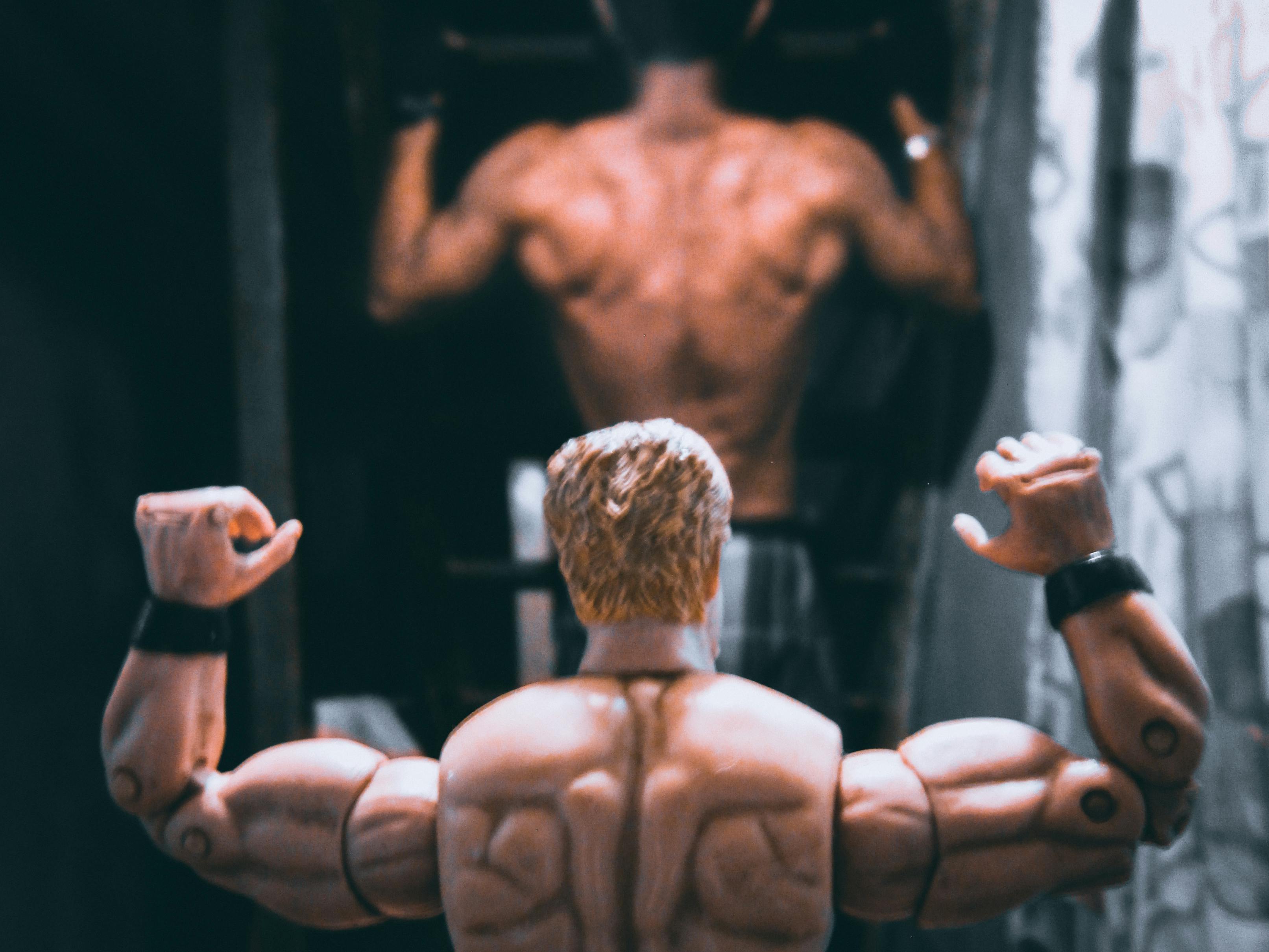 Free stock photo of action figure, back, body