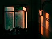 Warm sunlight casts shadows through a window with green plants, creating an inviting atmosphere.