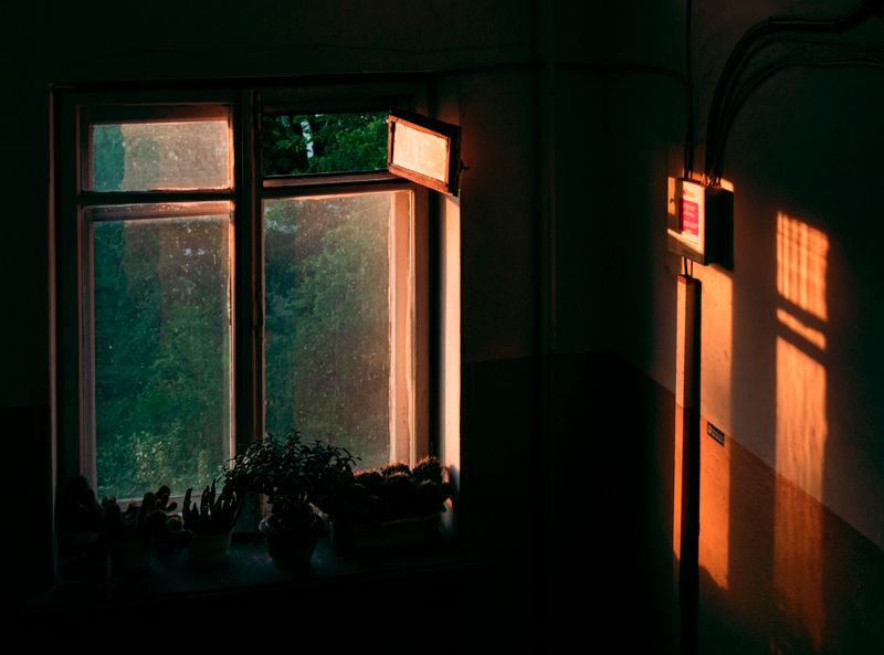 Luz entre sombras