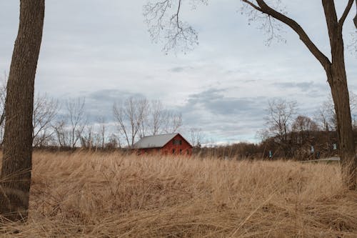 乾草, 景觀, 田 的 免費圖庫相片