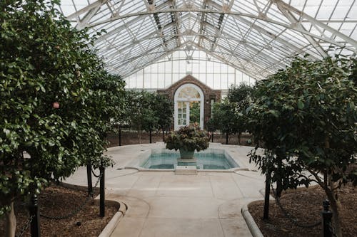 Julian Bracero Photography Julian Bracero Photography, Camellia House Planting Fields Arboretum
