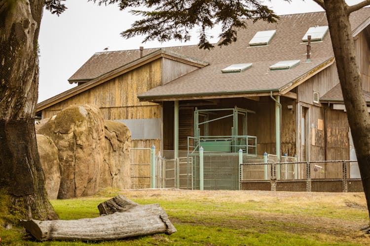 Wooden House With Yard