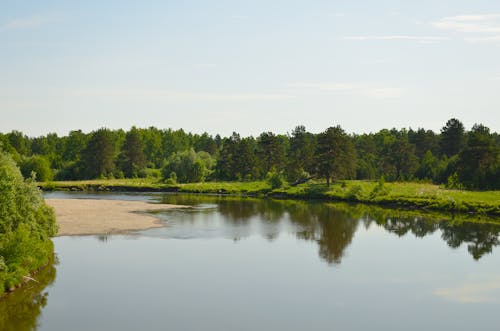 Photo of a a Forest and a River