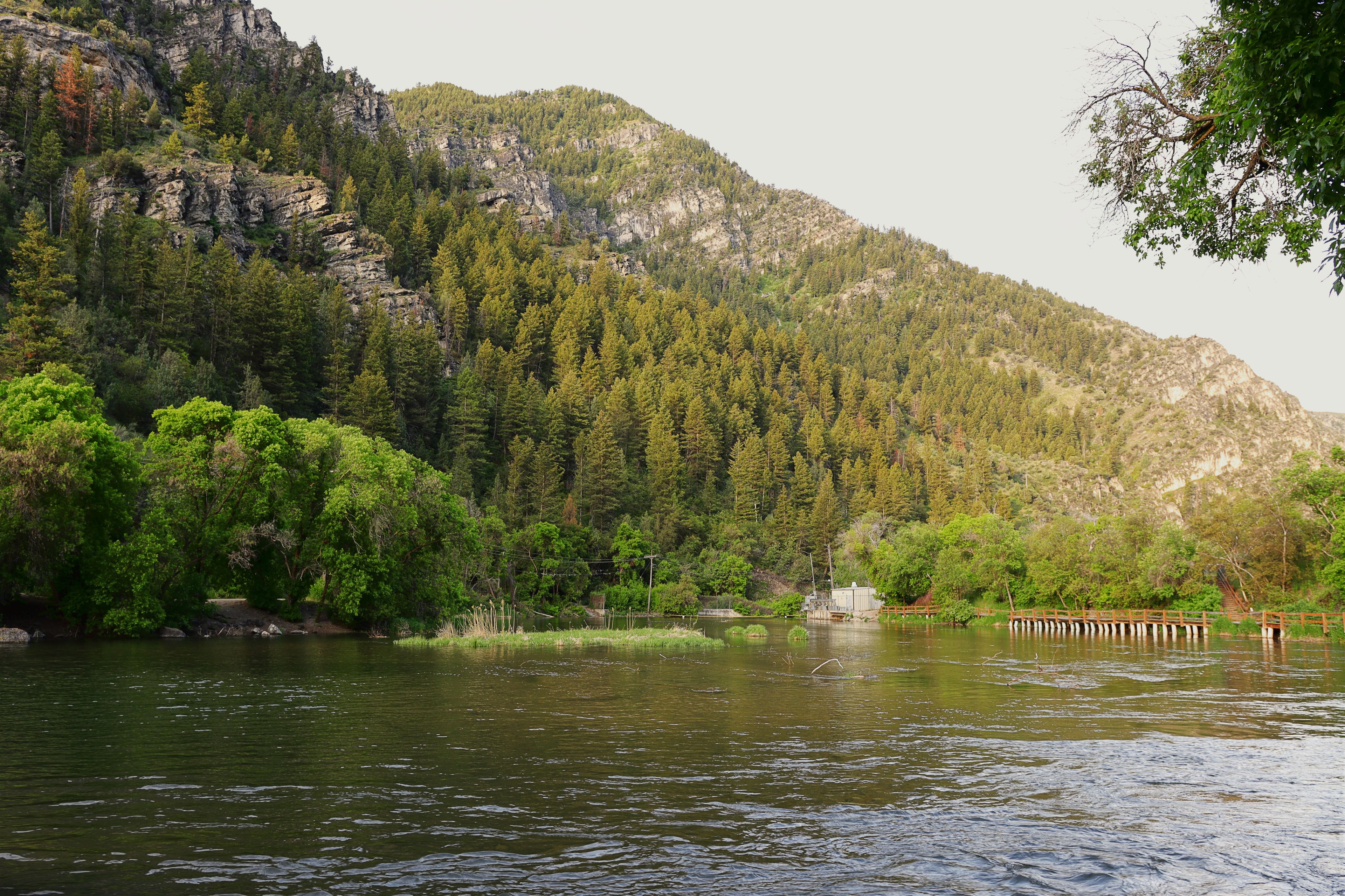 Logan: River and forest beneath the cliffs of Logan Canyon