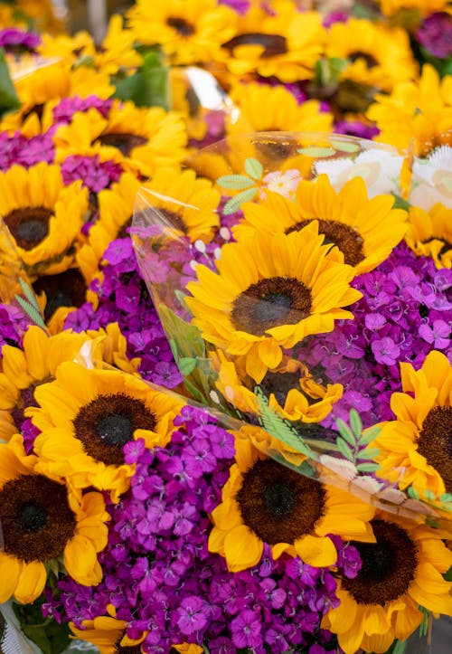 Gratis arkivbilde med blomsterbukett, blomsterfotografering, blomstre