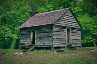 wood house