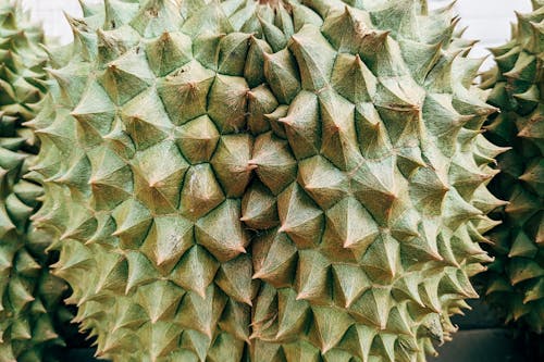 Gratis stockfoto met detailopname, durian, vrucht