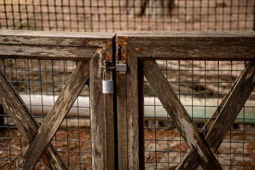 Photos gratuites de barrière, en bois, fermé à clef