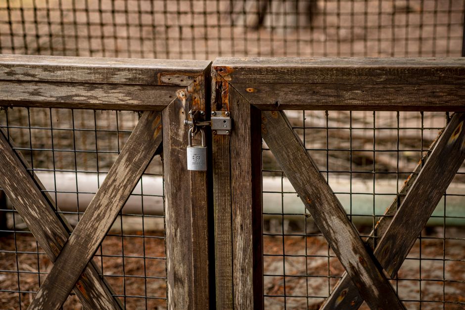 Photo by David McElwee on Pexels Close-up of a rustic wooden gate with a padlock, offering a secure outdoor setting.