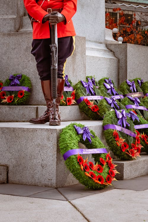 Free Remembrance Day Stock Photo